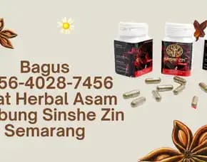 Bagus 0856-4028-7456 Obat Herbal Asam Lambung Sinshe Zin Semarang