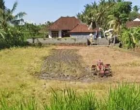 Dijual 10,6 Are, Jl. Kebo Iwa Bongan Barat Wisata Grembengan Waterfall Tabanan