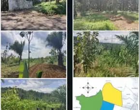 Jual Tanah Perkebunan Sangat Luas Di Pangkalan, Sukabumi