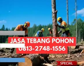 Jasa Tebang Pohon Ngaglik