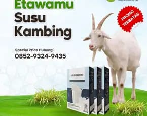 Susu Kambing Untuk Ibu Menyusui Magetan, Murah Dan Bpom