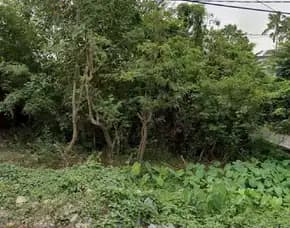 Dijual 5,5 Are, Jl. Raya Canggu Samping Pepito Tibubeneng Kuta Utara