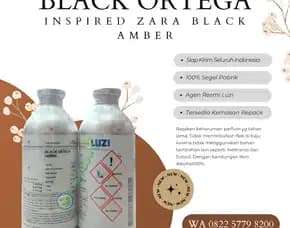 Agen Bibit Parfum Luzi  Kota Dumai