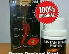Jual Lintah Papua Asli Di Bandung