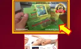 Wa: 0878-8005-8622 Obat Kolesterol Ampuh Dan Alami Di Kota Palu