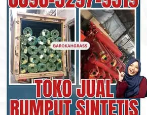 0896-5297-9519 (Bu Diana), Tempat Beli Rumput Sintetis Aceh Utara Tanah Luas