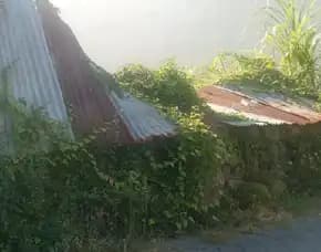 Dijual 1 Are & 2 Are, Jl. Pendidikan Gg. Bambu Sidakarya Sesetan Denpasar