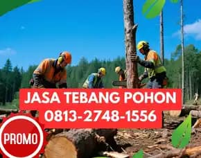 Jasa Tebang Pohon Godean