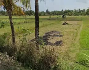 Dijual 64,1 Are, Jl. Yeh Gangga I Br. Gubug Kedungu Sudimara Tabanan