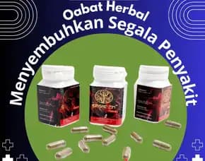Tonik Sakral - 0856-4028-7456  Jual Obat Herbal Rheumatik Sinshe Zin Semarang Pt Dewa Obat