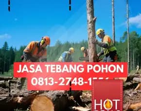 Jasa Tebang Pohon Wonosari
