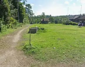 Dijual 1,39 Ha. Jl. Piling Kanginan Asah Pitra Jatiluwih Penebel Tabanan