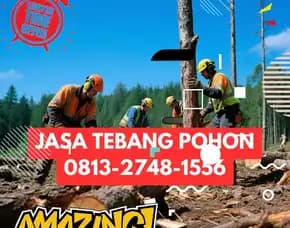 Jasa Tebang Pohon Wirobrajan