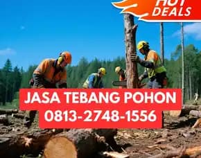 Jasa Tebang Pohon Girimulyo