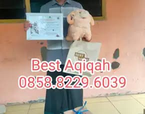Paket Katering Aqiqah Jayanti Tangerang