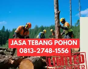 Jasa Tebang Pohon Umbulharjo
