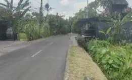 Dijual 17 Are, Jl. Tegal Cupek Bumbak Kerobokan Kuta Utara