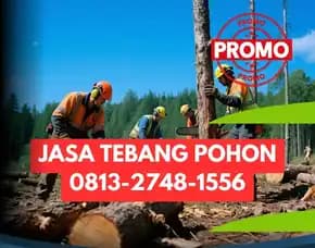 Jasa Tebang Pohon Pandak