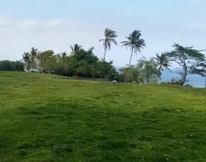 Dijual 1,5203 Ha. Loss Pantai Soka, Jl. Raya Denpasar Gilimanuk Antap Selemadeg Tabanan