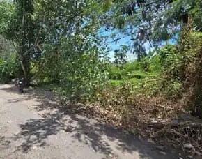 Dikontrakan 1,5 Are & 3 Are, Jl. Kayu Tulang Selatan Gg. Jati Canggu Kuta Utara