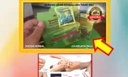 0878-8005-8622 Obat Alami Kolesterol Dan Trigliserida Di Kota Palu