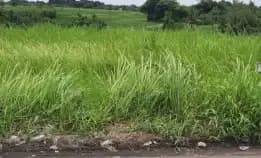 Dijual 29,25 Are, Jl. Raya Kaba Kaba Br. Buading Kediri Tabanan