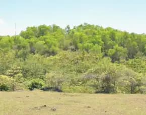 Dijual 5,5978 Ha. Jl. Nusa Dua Selatan Gayang Sari Pantai Pandawa Kutuh Kuta Selatan