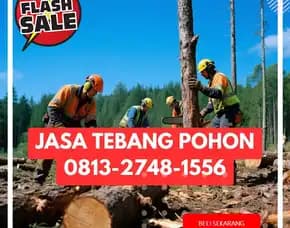 Jasa Tebang Pohon Panjatan