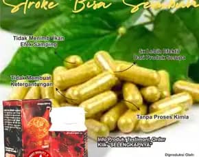 Obat Ajaib 💊 0856-4028-7456 Jual Obat Herbal Hipertensi Semarang Sinshe Zin