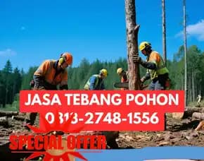 Jasa Tebang Pohon Mlati