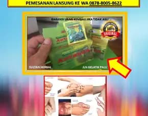 0878-8005-8622 Obat Untuk Kolesterol Tinggi Alami Di Kota Palu