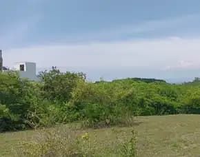 Dijual 1,045 Ha. Jl. Palapa Belakang Poltek Pariwisata Bali Benoa Kuta Selatan
