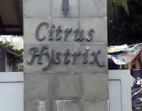 Huruf Timbu. Gading Serpong
