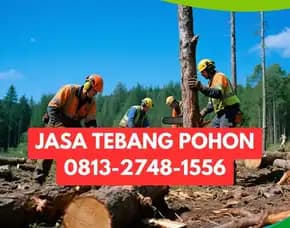Jasa Tebang Pohon Tegalrejo