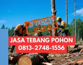 Jasa Tebang Pohon Karangmojo