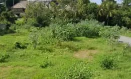 Dijual 6,88 Are & 5,3 Are, Jl. Babadan Pantai Lima Pantai Pererenan Mengwi Badung