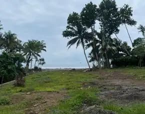 Dijual 92,5 Are, Jl. Raya Denpasar Gilimanuk Loss Pantai Balian Antap Selemadeg Tabanan