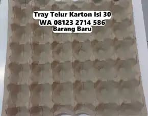Tempat Telur Karton Kardus Campuran Khusus Pupuan Tabanan Bali (130)