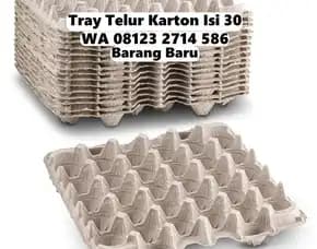 Wadah Telur Karton Produk Baru Tabanan Tabanan Bali (75)