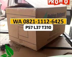 Harga Terbaru Kardus Bekas Untuk Packing Dki Jakarta