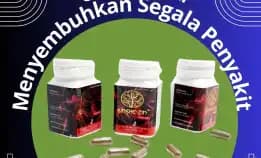 Serbuk Ajaib - 0856-4028-7456 Jual Obat Herbal Asam Lambung Sinshe Zin Semaraang Pt Dewa Obat