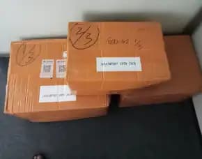 Import Pakan Kucing