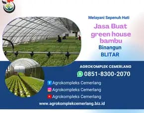Jasa Green House Blitar Doko