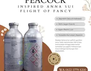 Jual Bibit Parfum Luzi  Indragiri Hilir