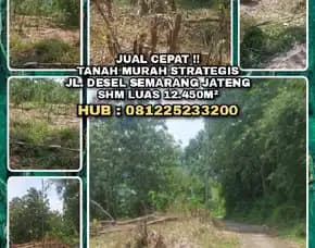 Tanah Dijual : Tanah Murah Strategis Di Semarang Jawa Tengah.Shm Lt12.450m²