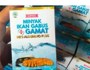 0812-1567-8455 Grosir Neo Albumino Plus Di Kalut