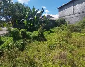 Dijual 1,4 Are, Jl. Krisna Pantai Berawa Tibubeneng Canggu Permai Kuta Utara
