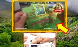 0878-8005-8622 Obat Kolesterol Herbal Di Apotik Di Kota Palu