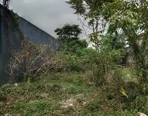 Dijual 1,5 Are, Jl. Cangkupan Nuansa Korri Barat Sading Ubung Mengwi