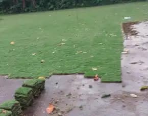 Jual Rumput Lapangan Sepak Bola Kota Pekalongan